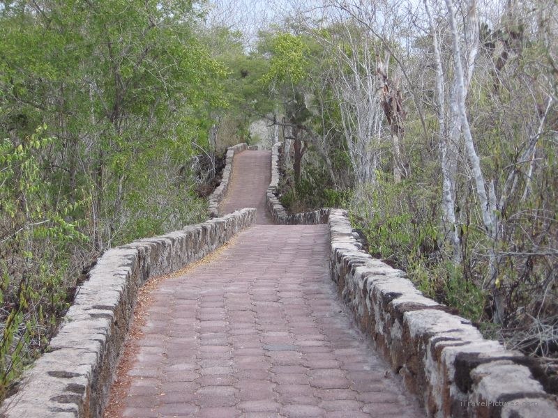 path trail